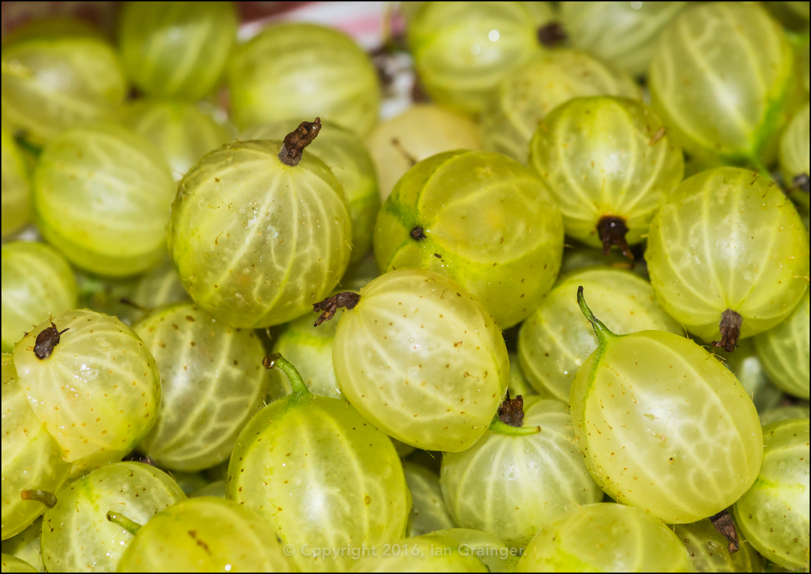 Gooseberries